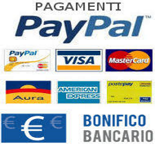 icona pagamenti icona pagamenti